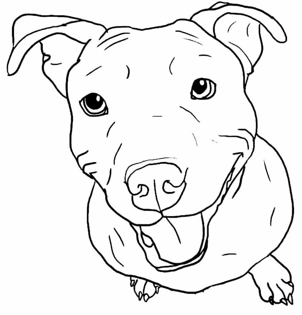 Desenho de Pitbull Sorrindo para Colorir