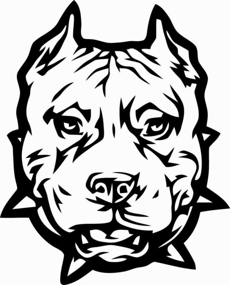 Desenho de Rosto de Pitbull para Colorir