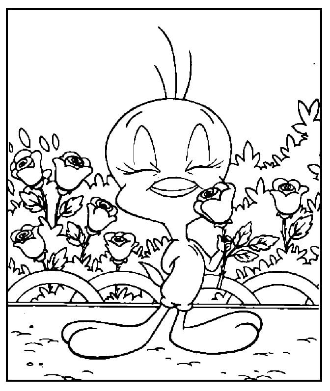 Desenho de Piu Piu para Colorir e Imprimir Pdf