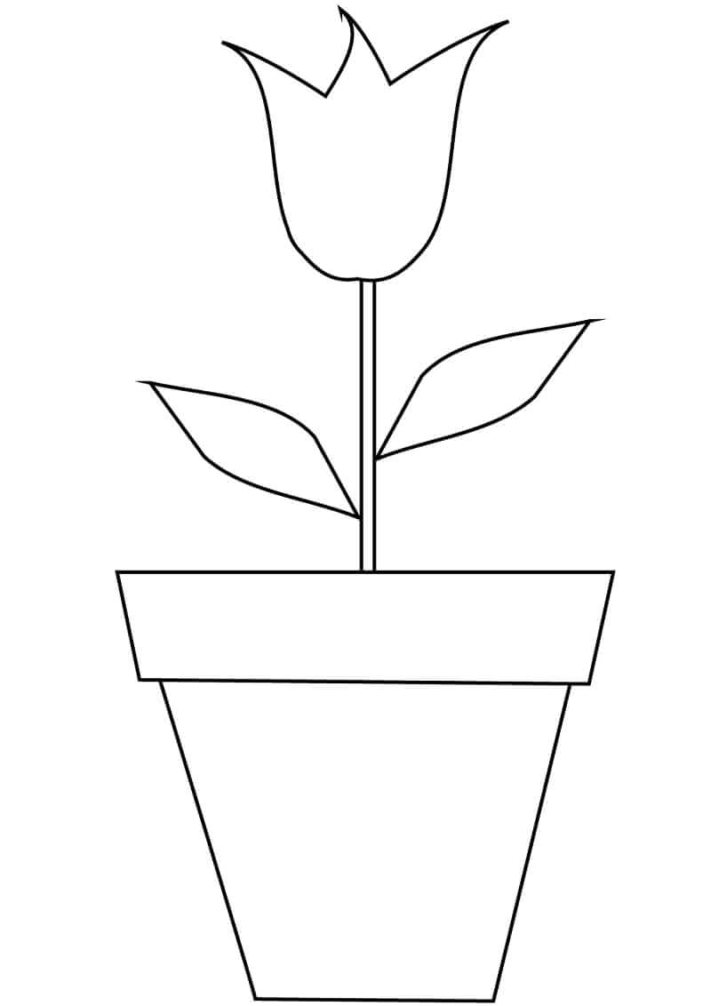 Desenho de Plantá Grátis Download para Colorir