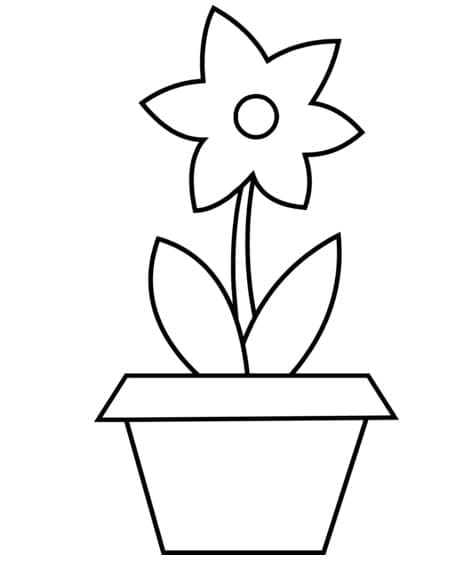 Desenho de Plantá Grátis para Imprimir e Colorir