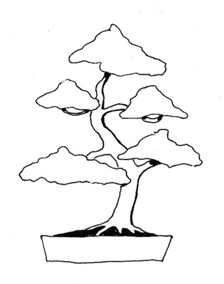 Desenho de Plantá Grátis para Pintar e Colorir