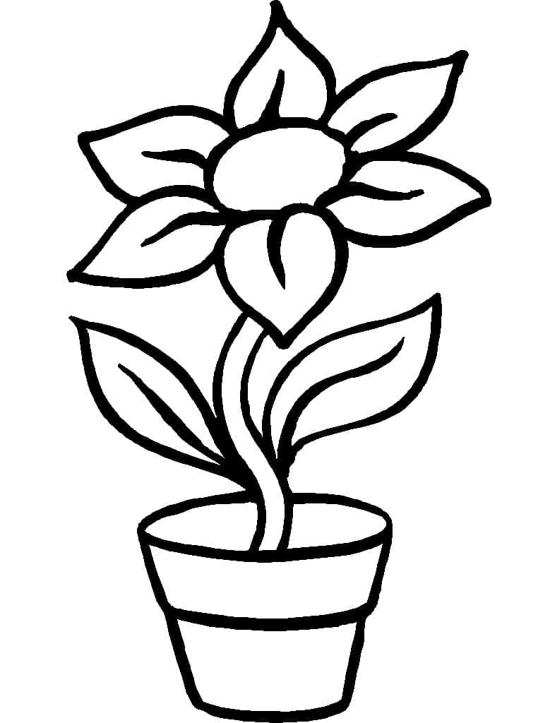 Desenho de Plantá Imprimivel para Imprimir e Colorir