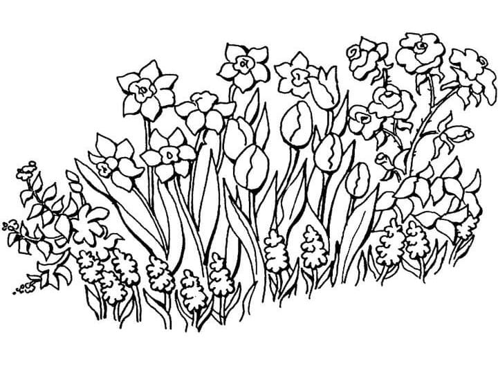 Desenho de Plantá para Colorir Grátis Download