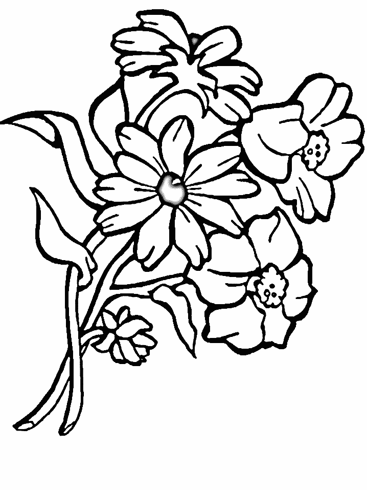 Desenho de Plantá para Colorir Imprimivel Pdf