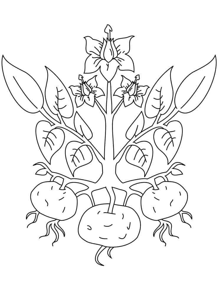 Desenho de Plantá para Colorir Online Pdf