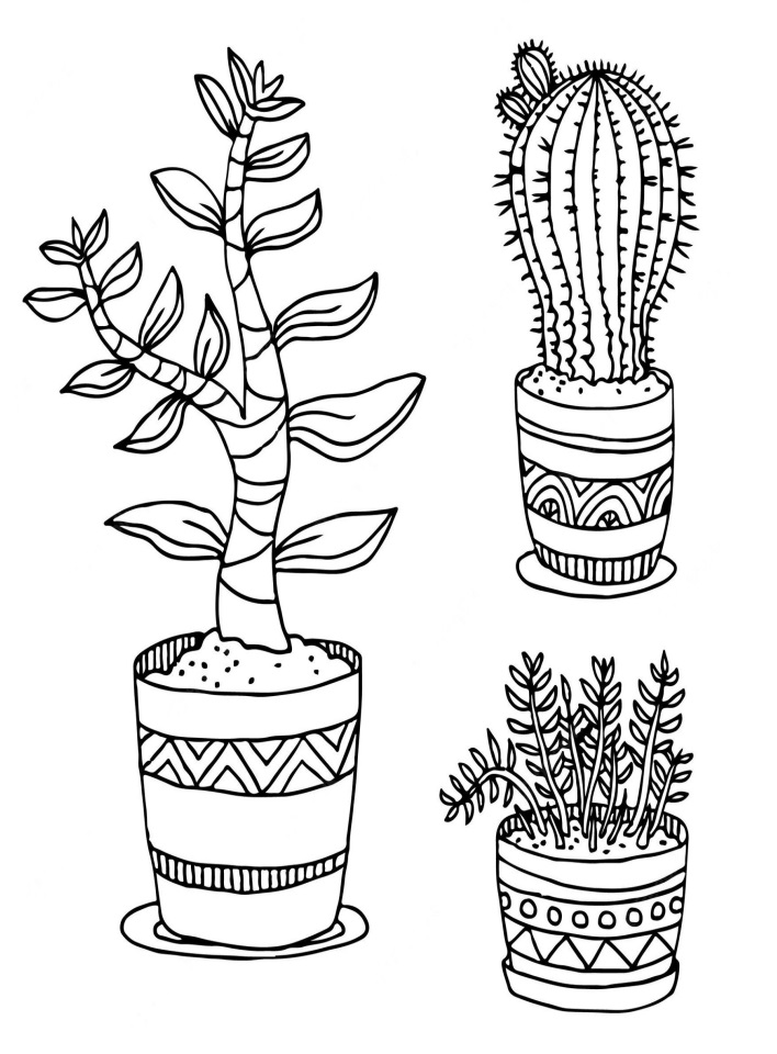 Desenho de Plantá para Colorir Pdf Imprimivel