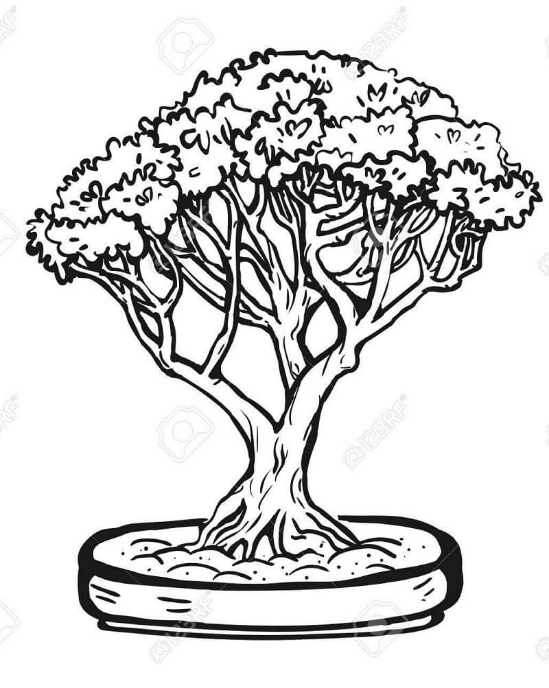 Desenho de Plantá para Imprimir Imprimivel
