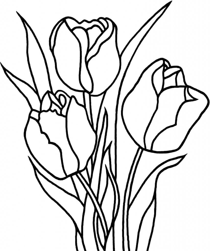 Desenho de Plantá para Pintar Download