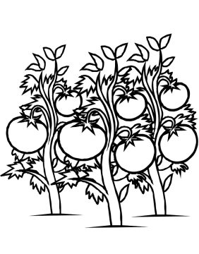 Desenho de plantá Pdf grátis para Imprimir
