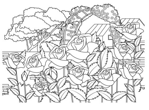 Desenho de plantá Pdf para Imprimir e Colorir