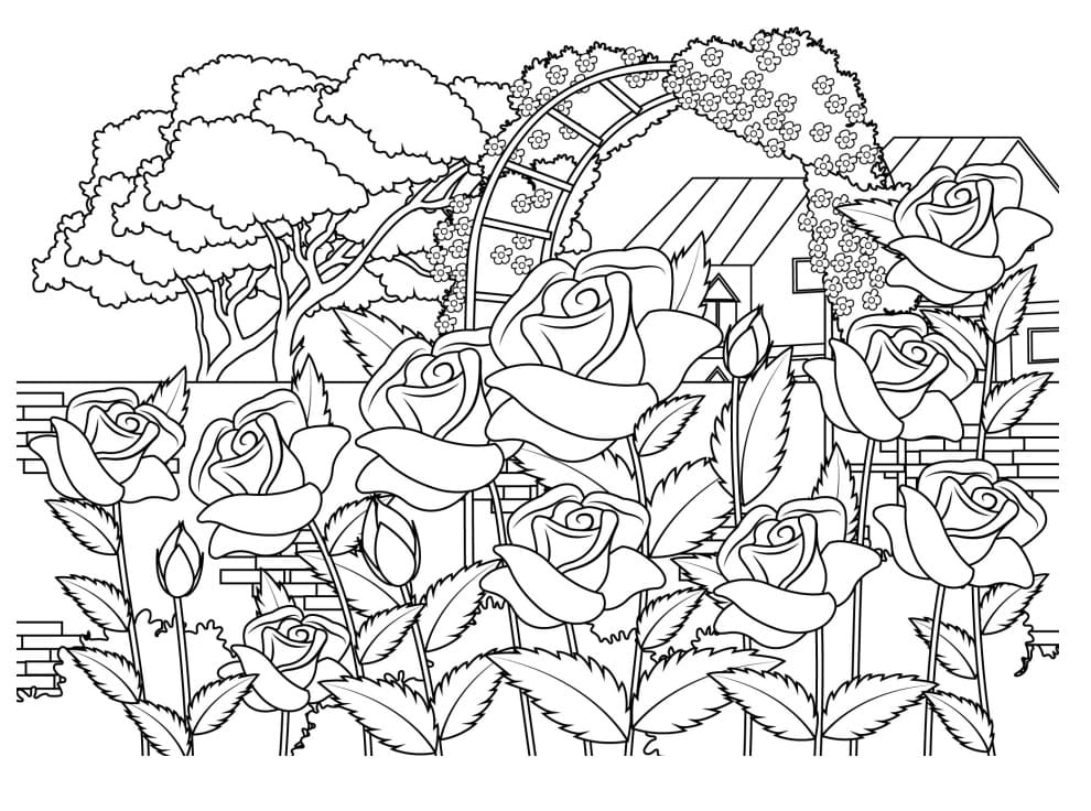 Desenhos de Plantas para Colorir