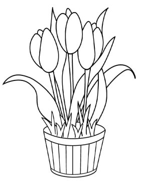 Desenho de plantá Pdf para Pintar e Colorir