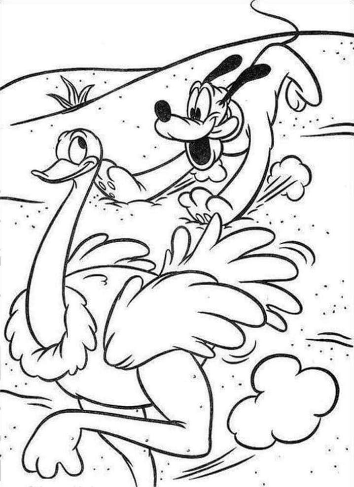 Desenho de Pluto e Avestruz para Colorir