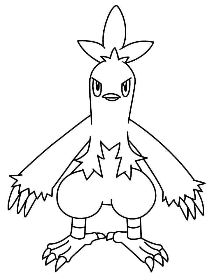 Desenho de Combusken Pokemon para Colorir