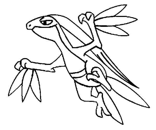 Desenho de Grovyle Pokemon para Colorir