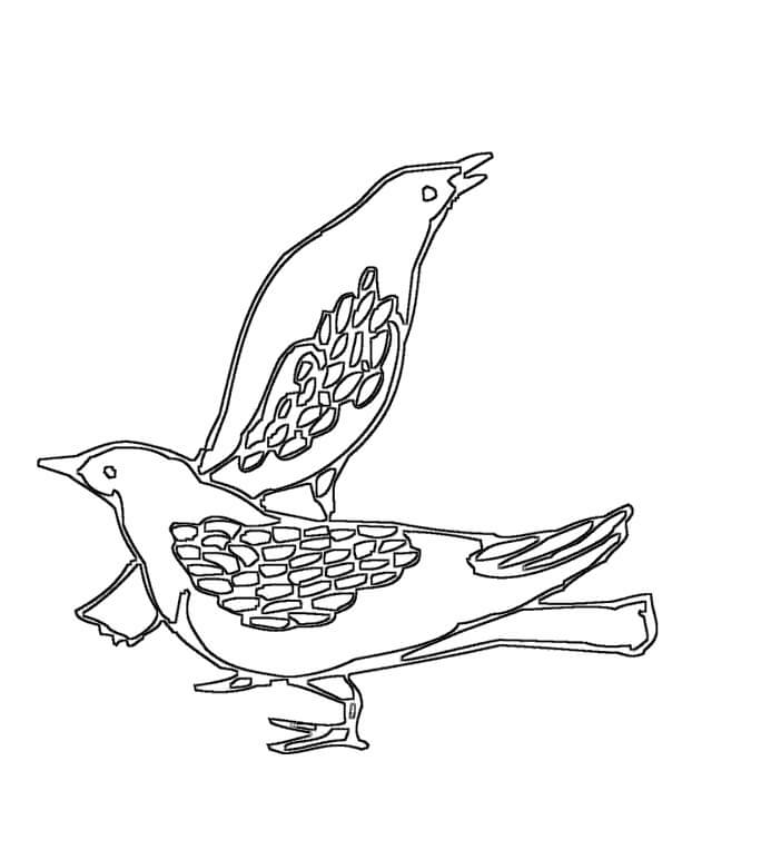 Desenho de Pombo Download para Imprimir e Colorir