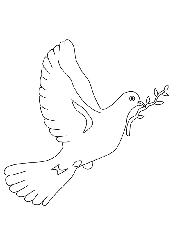 Desenho de Pombo Grátis para Colorir