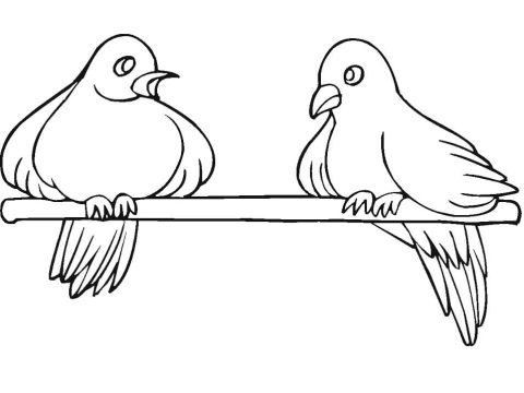 Desenho de Pombo para Imprimir Pdf grátis