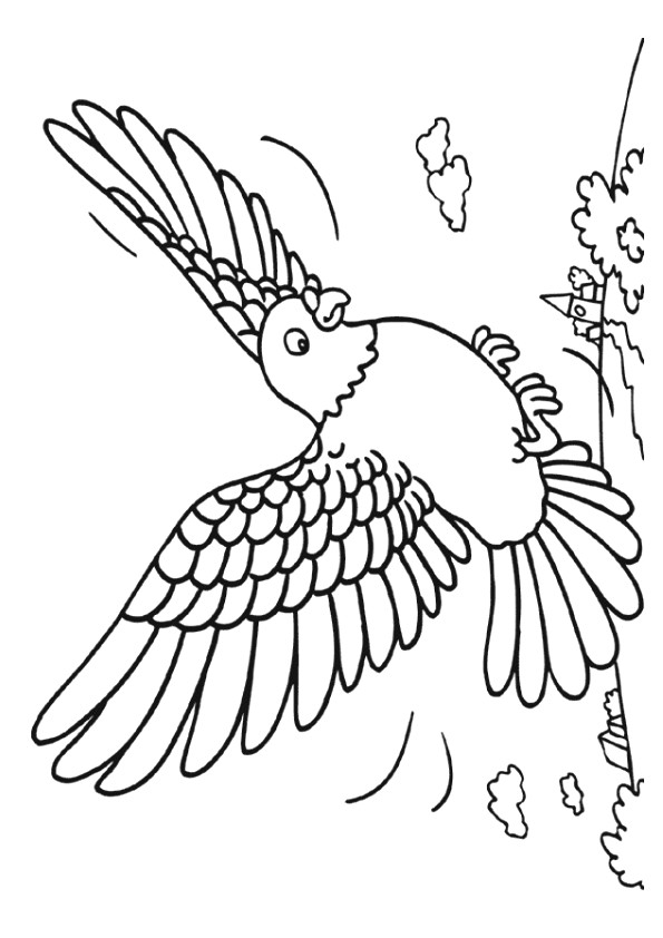 Desenho de Pombo Pdf para Colorir