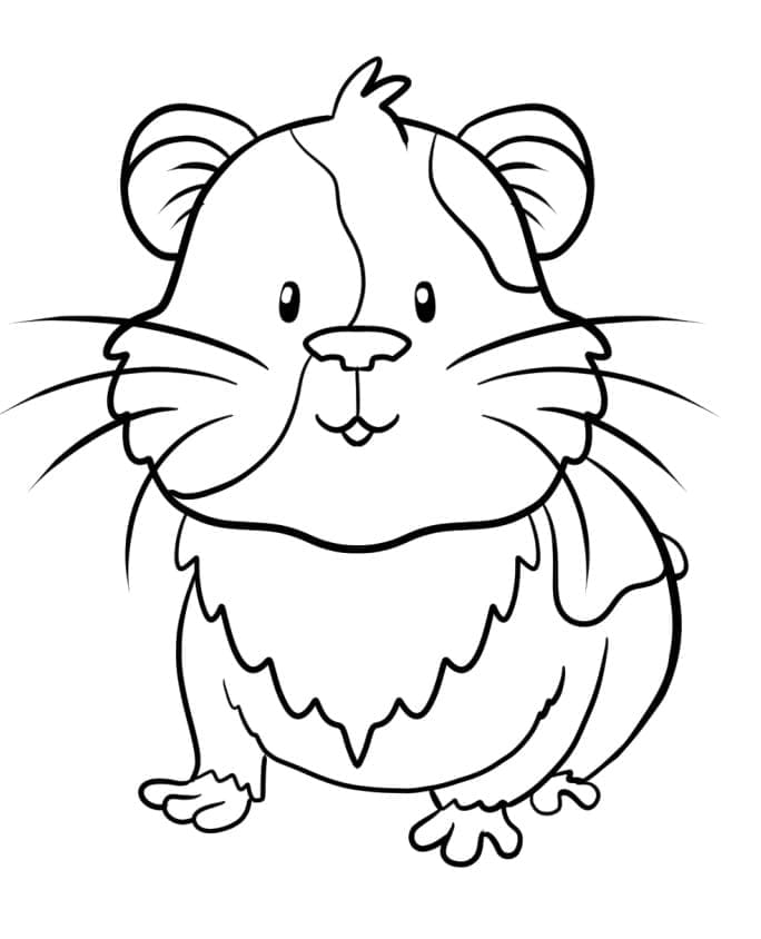 Desenho de Porquinho da Índia Animado para Colorir