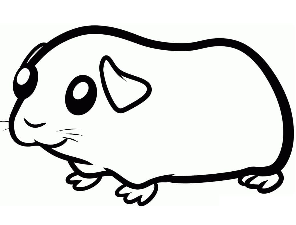 Desenho de Porquinho da Índia Bebê para Colorir