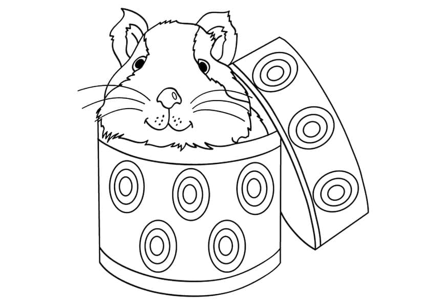 Desenho de Porquinho da Índia Download para Colorir