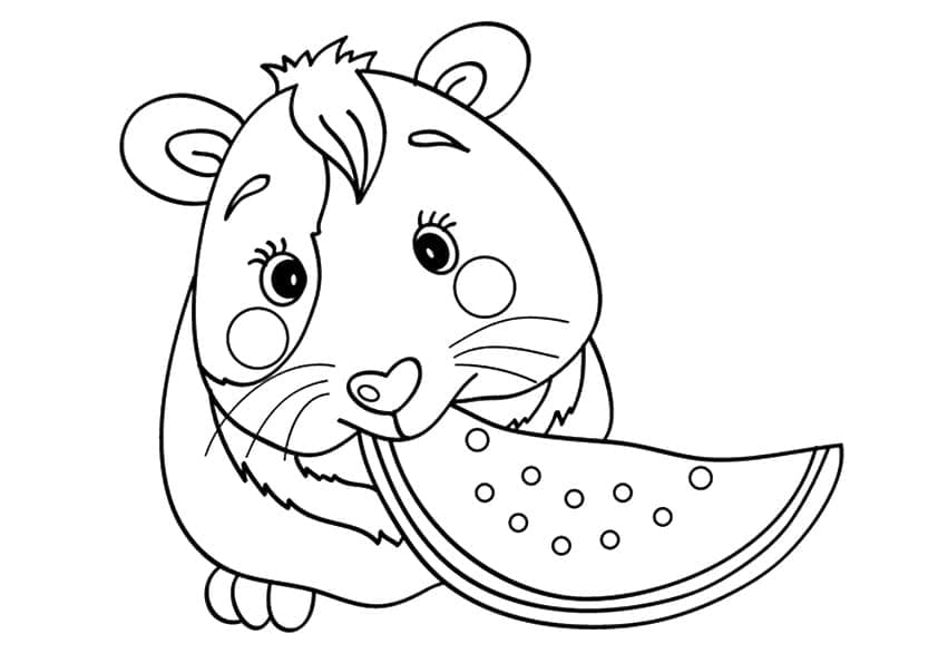 Desenho de Porquinho da Índia e Melancia para Colorir