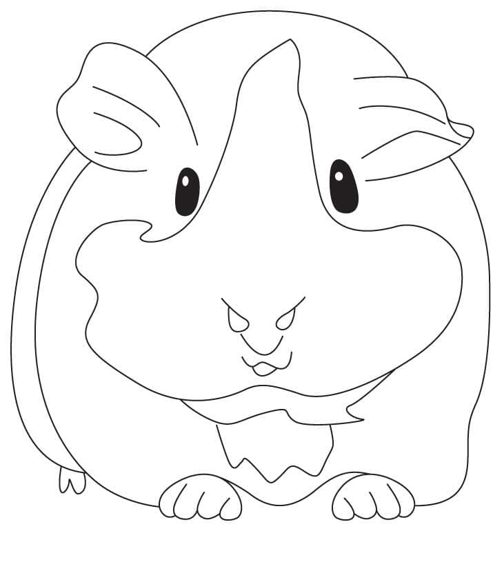 Desenho de Porquinho da Índia Fácil para Colorir