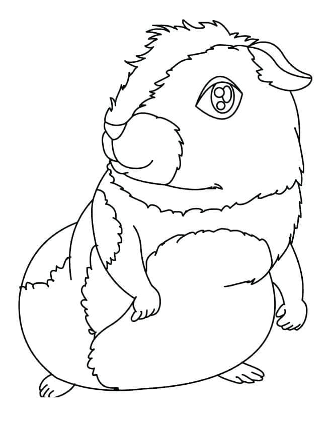 Desenho de Porquinho da Índia Feliz para Colorir