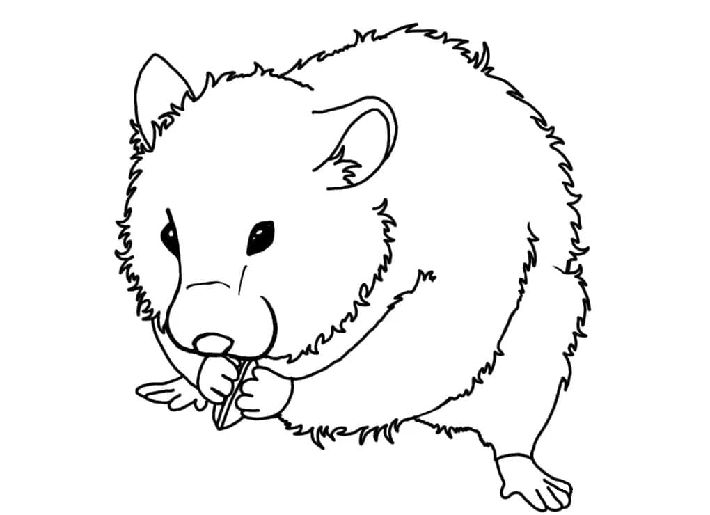 Desenho de Porquinho da Índia Grátis para Crianças para Colorir