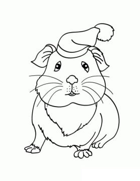 Desenho de Porquinho da índia no Natal para Colorir