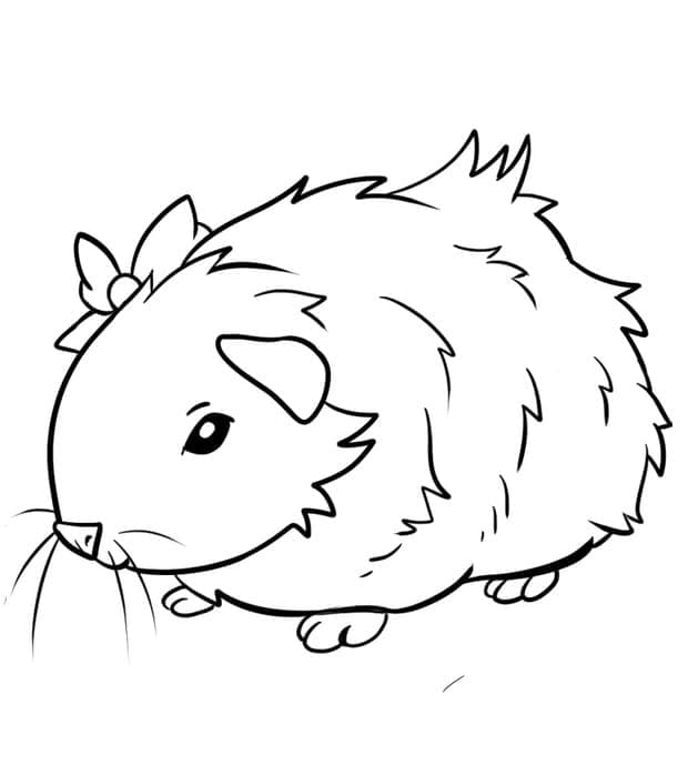 Desenho de Porquinho da Índia Normal para Colorir
