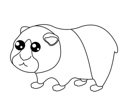 Desenho de Porquinho da índia Pdf Imprimível para Colorir
