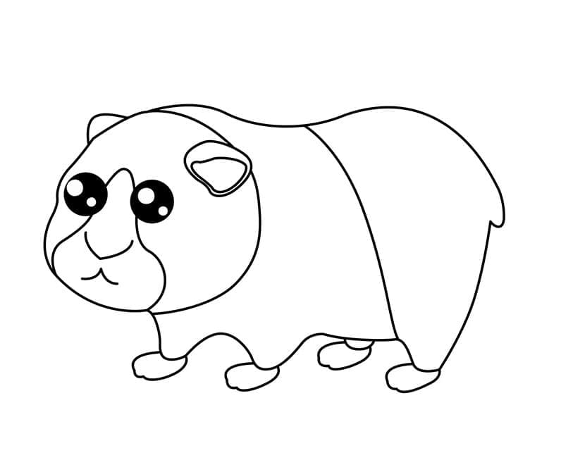 Desenho de Porquinho da Índia Pdf Imprimivel para Colorir