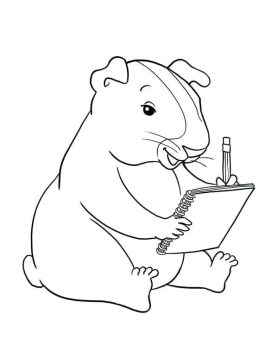 Desenho de Porquinho da índia Pdf para Colorir
