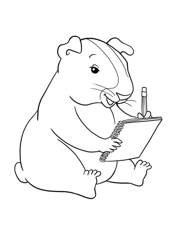 Desenho de Porquinho da Índia Pdf para Colorir