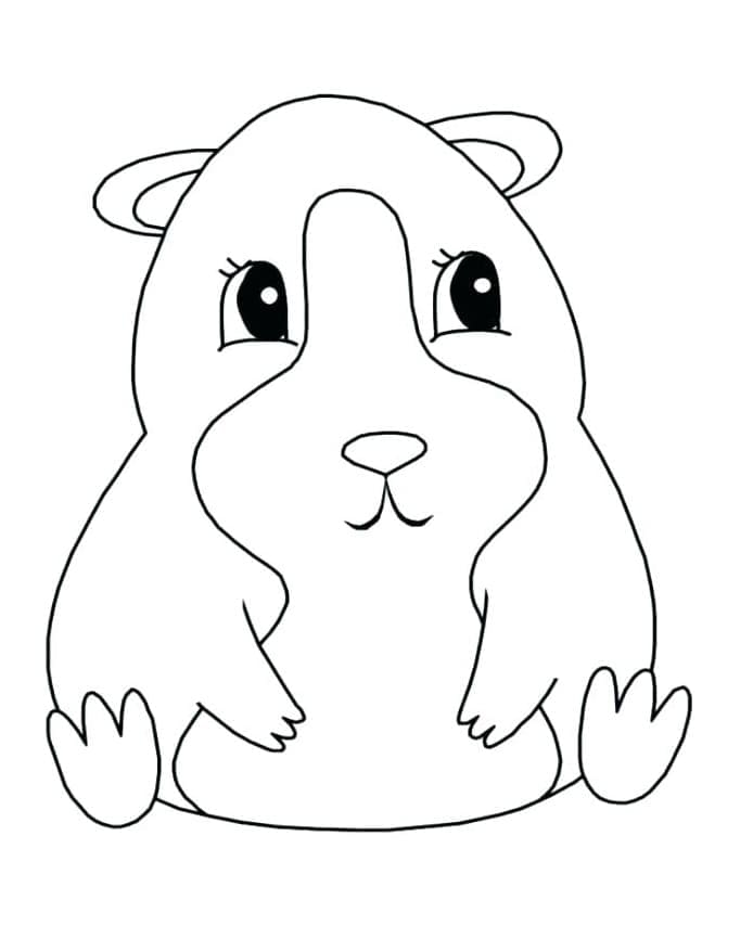 Desenhos de Porquinho da Índia para Colorir