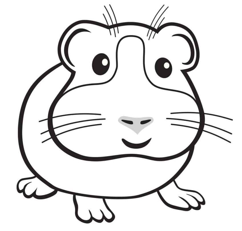 Desenho de Porquinho da Índia Sorridente para Colorir