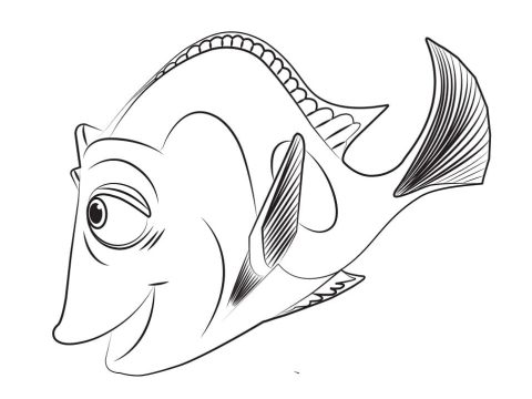 Desenho de Jenny de Procurando Dory para Colorir