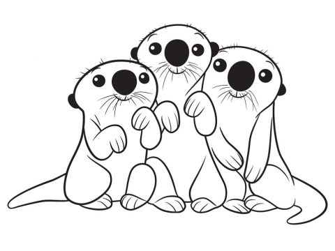 Desenho de Lontras de Procurando Dory para Colorir