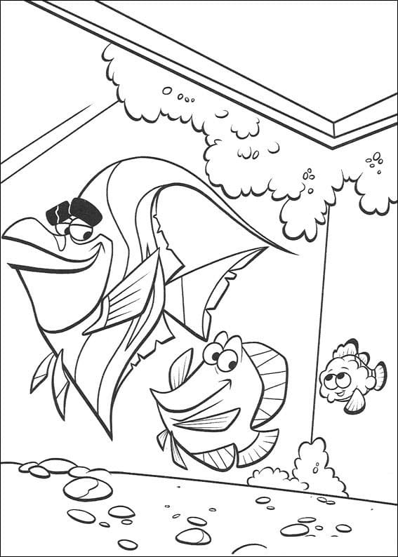 Desenho de Procurando Nemo Imprimivel para Imprimir e Colorir