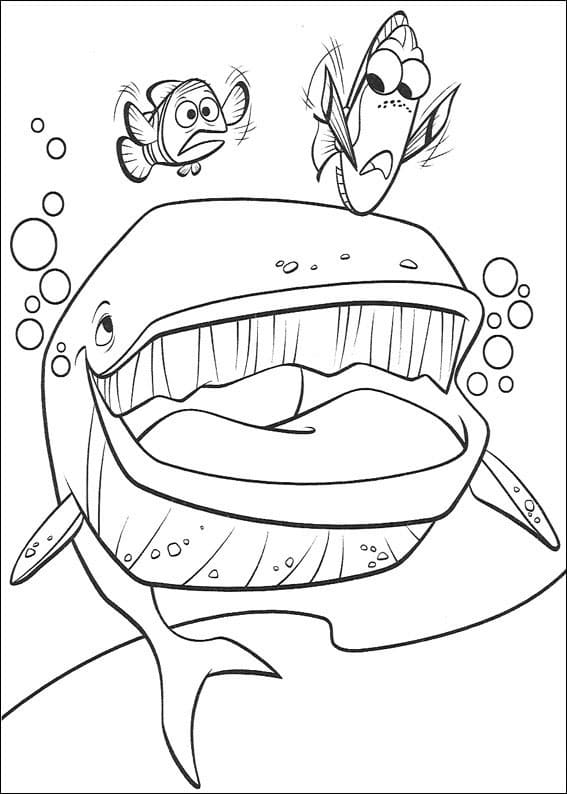 Desenho de Procurando Nemo para Imprimir Pdf Grátis