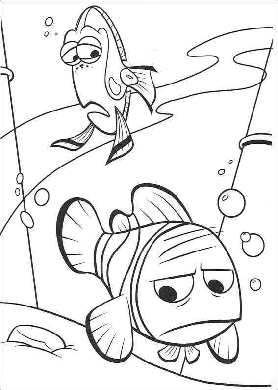Desenho Dory e Marlin para Colorir