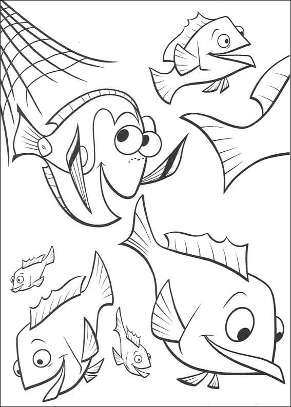Desenho Dory para Colorir