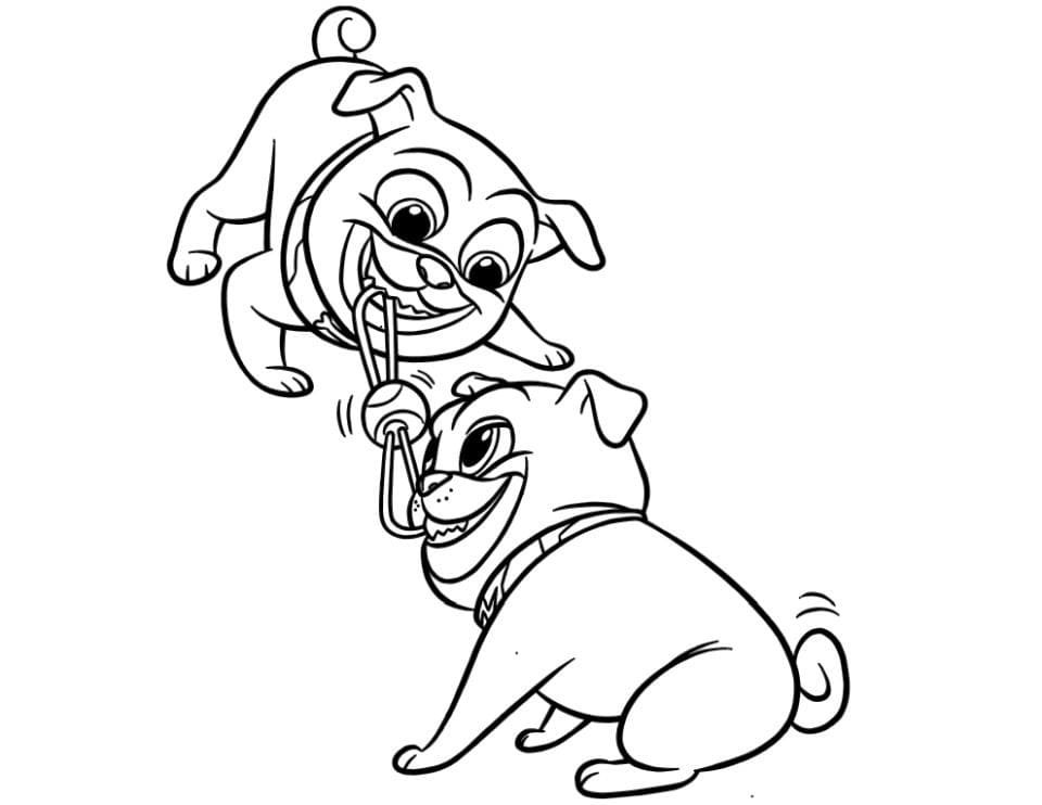 Desenho de Bingo com Rolly Puppy Dog Pals para Colorir