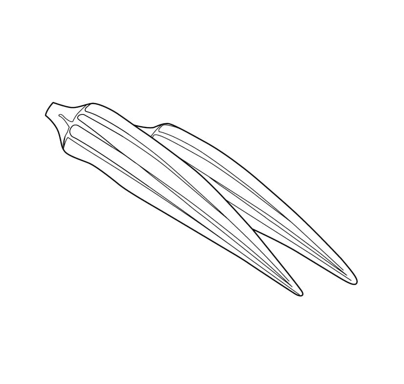 Desenho de Dois Quiabos para Colorir