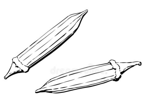 Desenho de Quiabo grátis para Colorir