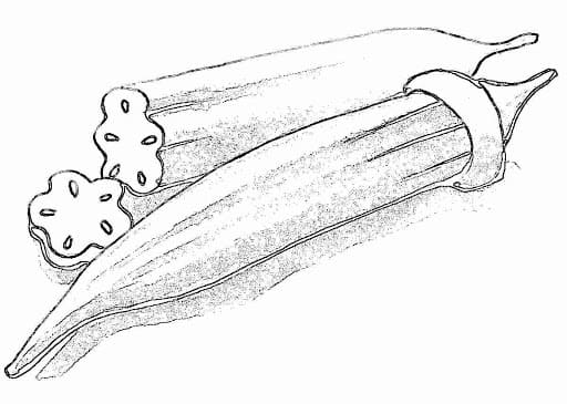 Desenho de Quiabo para Crianças para Colorir