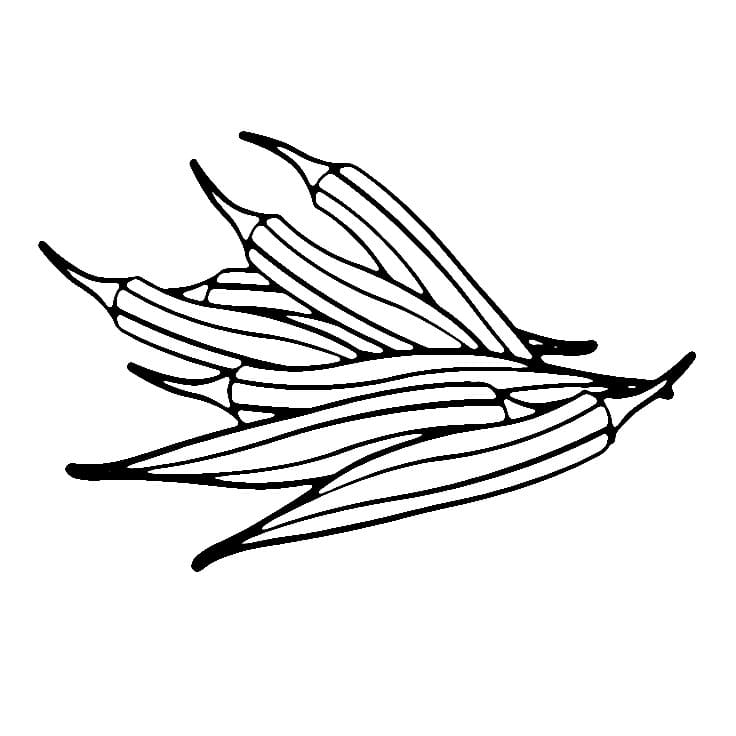 Desenho de Quiabos para Colorir